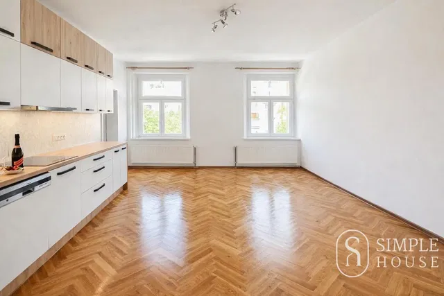 Kuchyně; kuchyňské spotřebiče, dřevěná podlaha, přirozené světlo, moderní styl