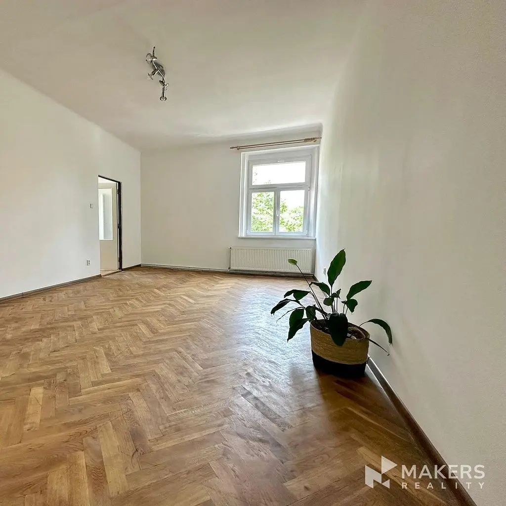 Kuchyně; kuchyňské spotřebiče, dřevěná podlaha, přirozené světlo, moderní styl