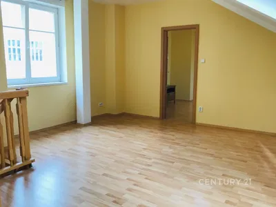 Kuchyně; kuchyňské spotřebiče, dřevěná podlaha, přirozené světlo, moderní styl