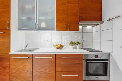 Хол; дървен под, естествена светлина, модерен стил