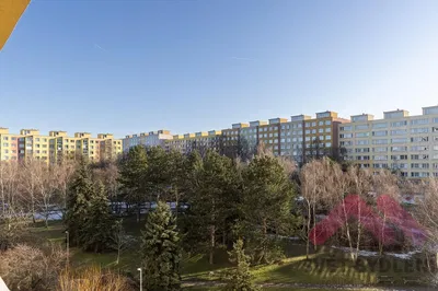 Salon; podłoga drewniana, światło dzienne, styl nowoczesny