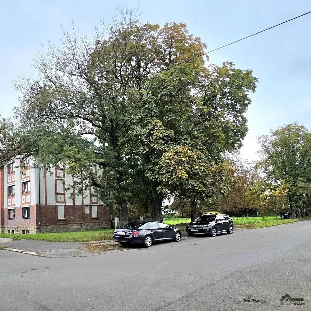 Mutfak; mutfak aletleri, ahşap zemin, doğal ışık, modern stil