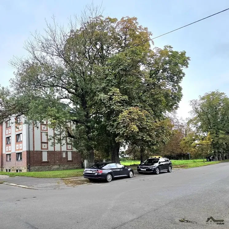 Mutfak; mutfak aletleri, ahşap zemin, doğal ışık, modern stil