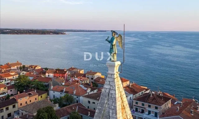 Küche; küchengeräte, holzboden, tageslicht, moderner stil