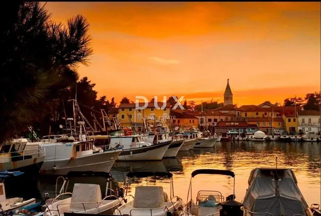 Küche; küchengeräte, holzboden, tageslicht, moderner stil