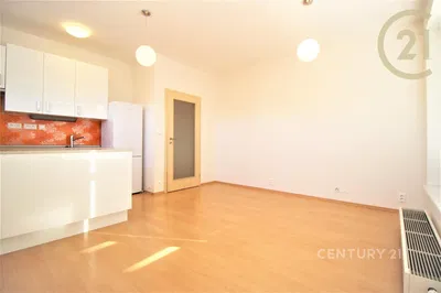 Кухня; кухненски уреди, дървен под, естествена светлина, модерен стил