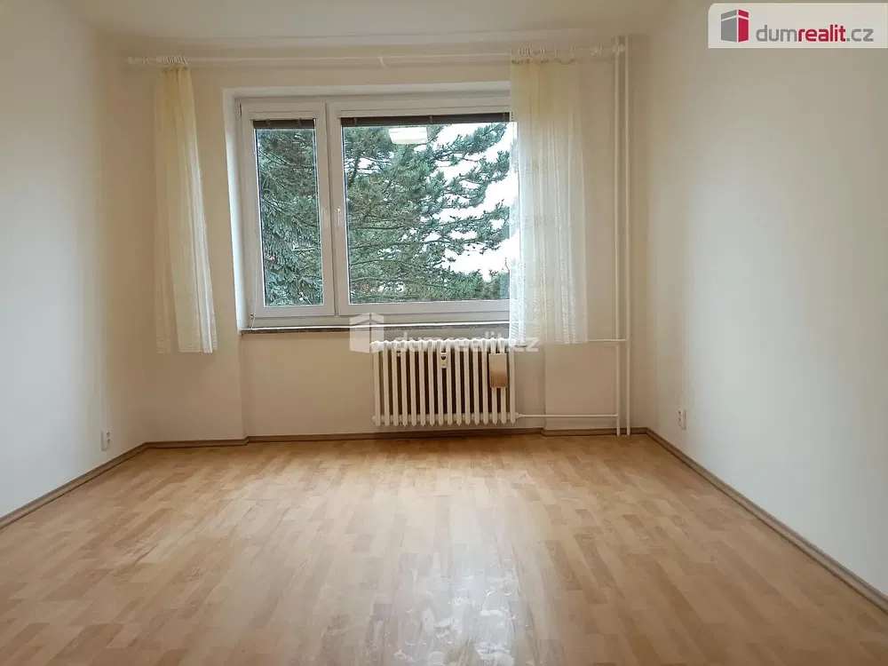 Wohnzimmer; holzboden, tageslicht, moderner stil, hohe decken