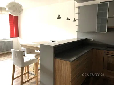 Kitchen; kitchen appliances, wood floor, natural light, modern style