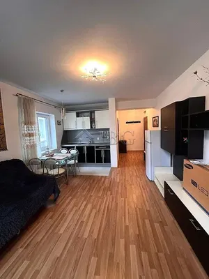 Кухиња; кухињски апарати, дрвени под, природно светло, модерни стил