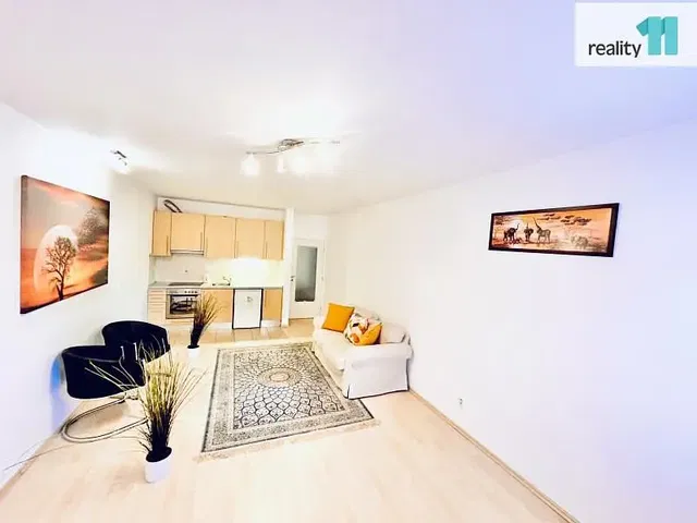 Хол; дървен под, естествена светлина, модерен стил