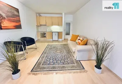 Хол; дървен под, естествена светлина, модерен стил