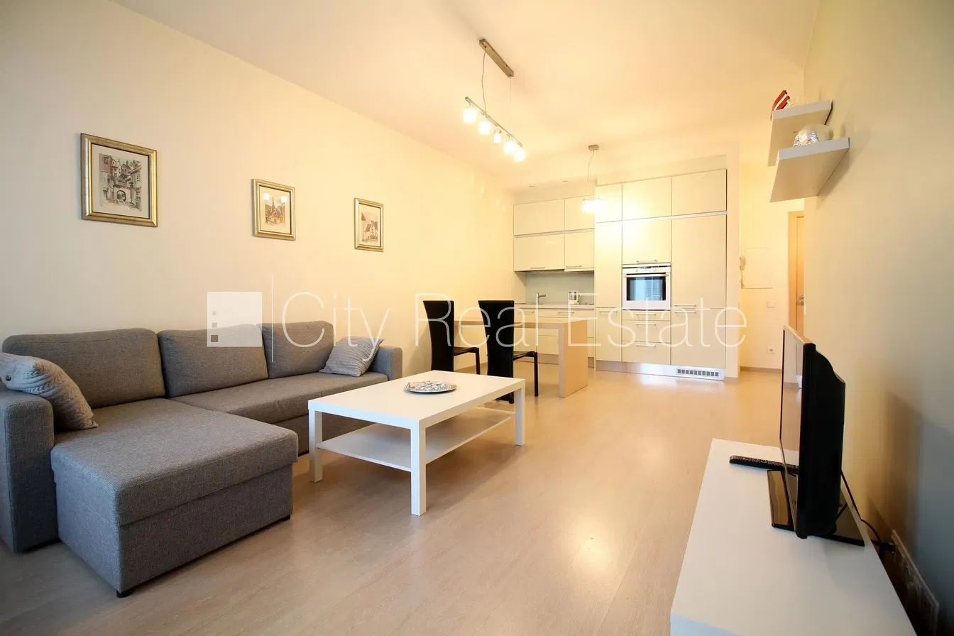 Kuchyně; kuchyňské spotřebiče, dřevěná podlaha, přirozené světlo, moderní styl