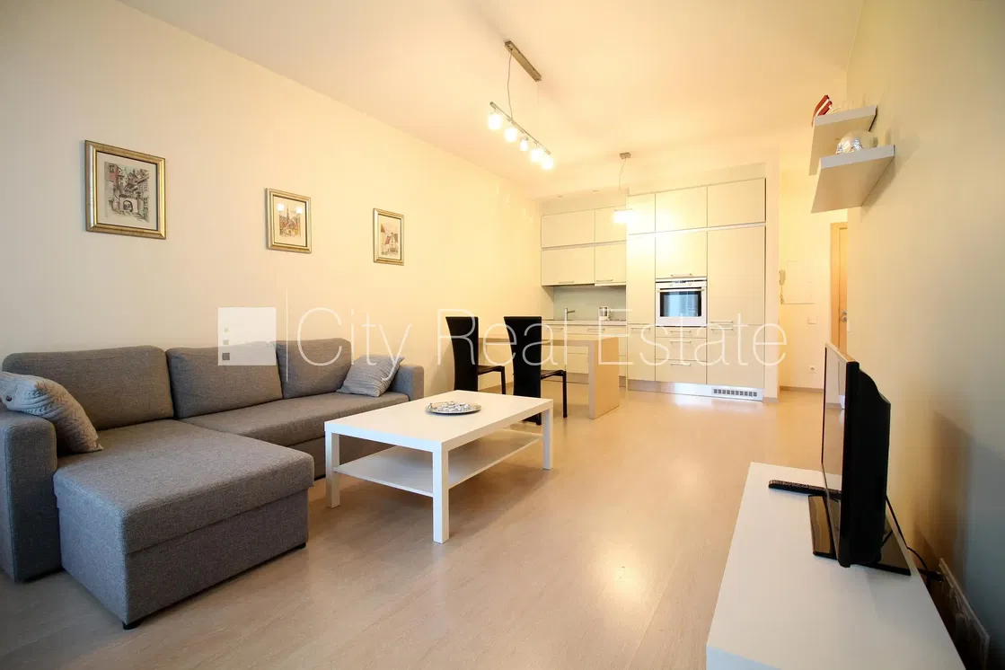 Kuchyně; kuchyňské spotřebiče, dřevěná podlaha, přirozené světlo, moderní styl