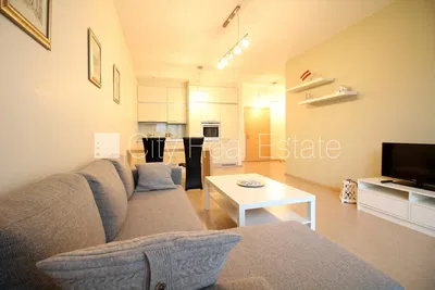 Kuchyně; kuchyňské spotřebiče, dřevěná podlaha, přirozené světlo, moderní styl