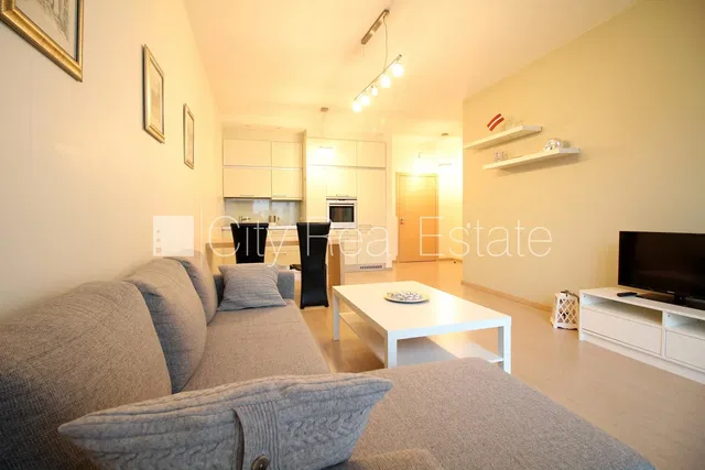 Kuchyně; kuchyňské spotřebiče, dřevěná podlaha, přirozené světlo, moderní styl