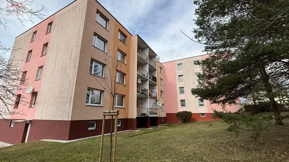 Kuchyně; kuchyňské spotřebiče, dřevěná podlaha, přirozené světlo, moderní styl