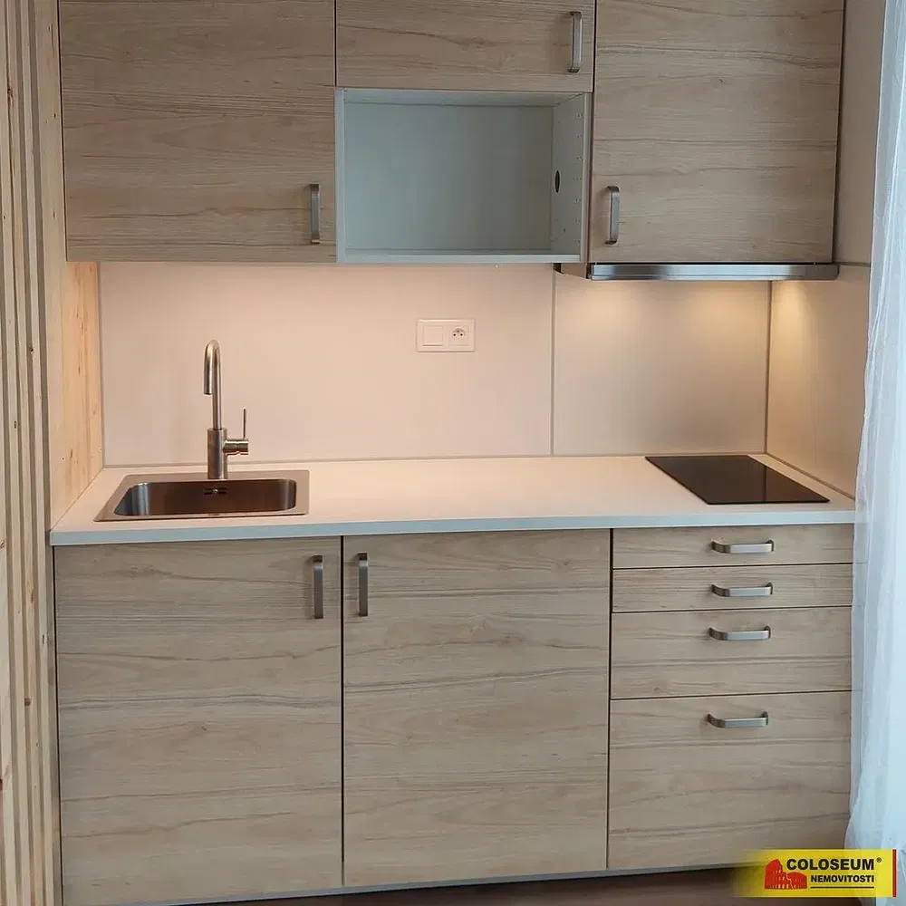 Хол; дървен под, естествена светлина, модерен стил