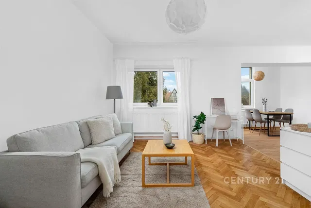 Kitchen; kitchen appliances, wood floor, natural light, modern style
