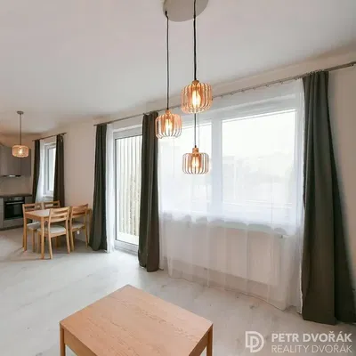 Kuchyně; kuchyňské spotřebiče, dřevěná podlaha, přirozené světlo, moderní styl