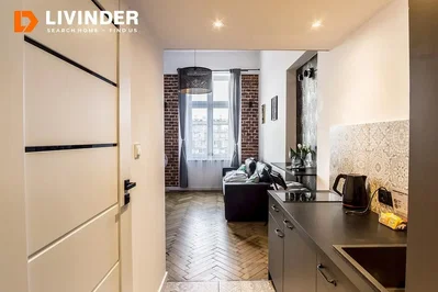 Kitchen; kitchen appliances, wood floor, natural light, modern style