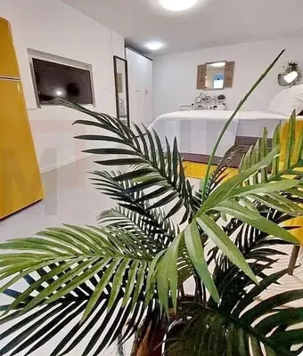 Küche; küchengeräte, holzboden, tageslicht, moderner stil