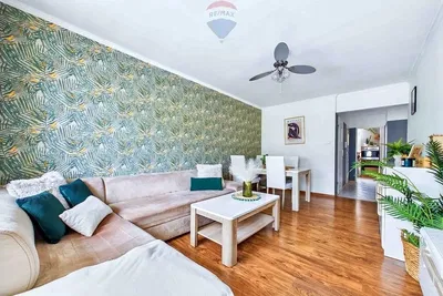 Cuisine; électroménager, parquet, lumière naturelle, style moderne