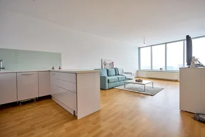 Kuhinja; kućanski aparati, drveni pod, prirodna svjetlost, moderan stil