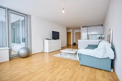 Kuhinja; kućanski aparati, drveni pod, prirodna svjetlost, moderan stil