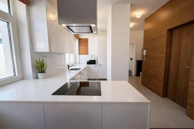 Cuisine; électroménager, parquet, lumière naturelle, style moderne