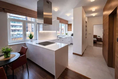 Cuisine; électroménager, parquet, lumière naturelle, style moderne