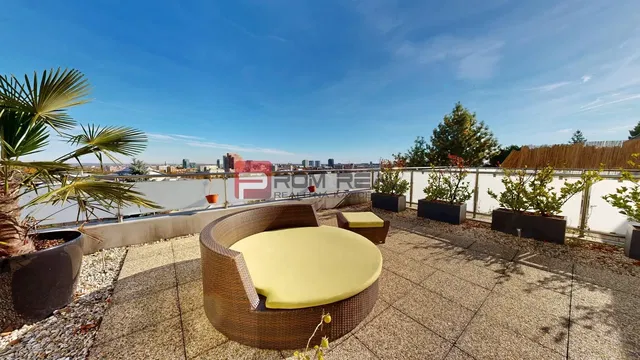 Kitchen; kitchen appliances, wood floor, natural light, modern style