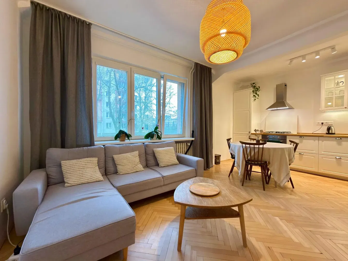 Кухиња; кухињски апарати, дрвени под, природно светло, модерни стил