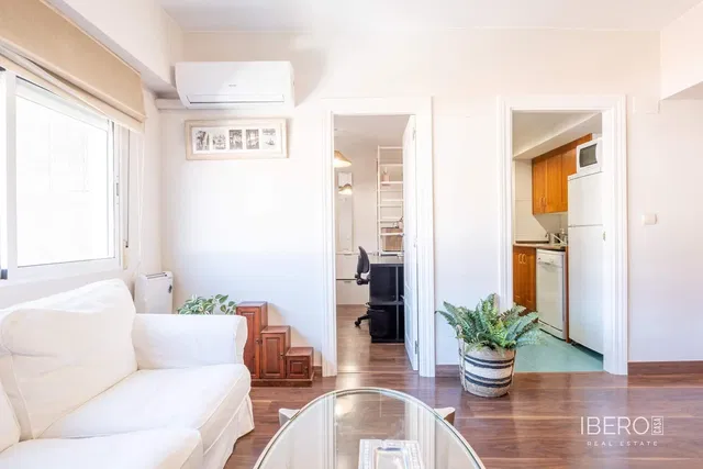 Kitchen; kitchen appliances, wood floor, natural light, modern style