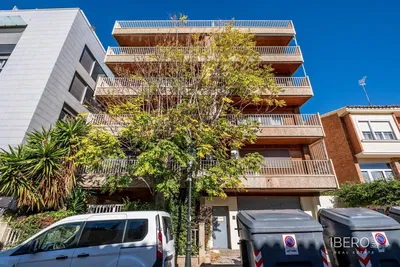 Kitchen; kitchen appliances, wood floor, natural light, modern style