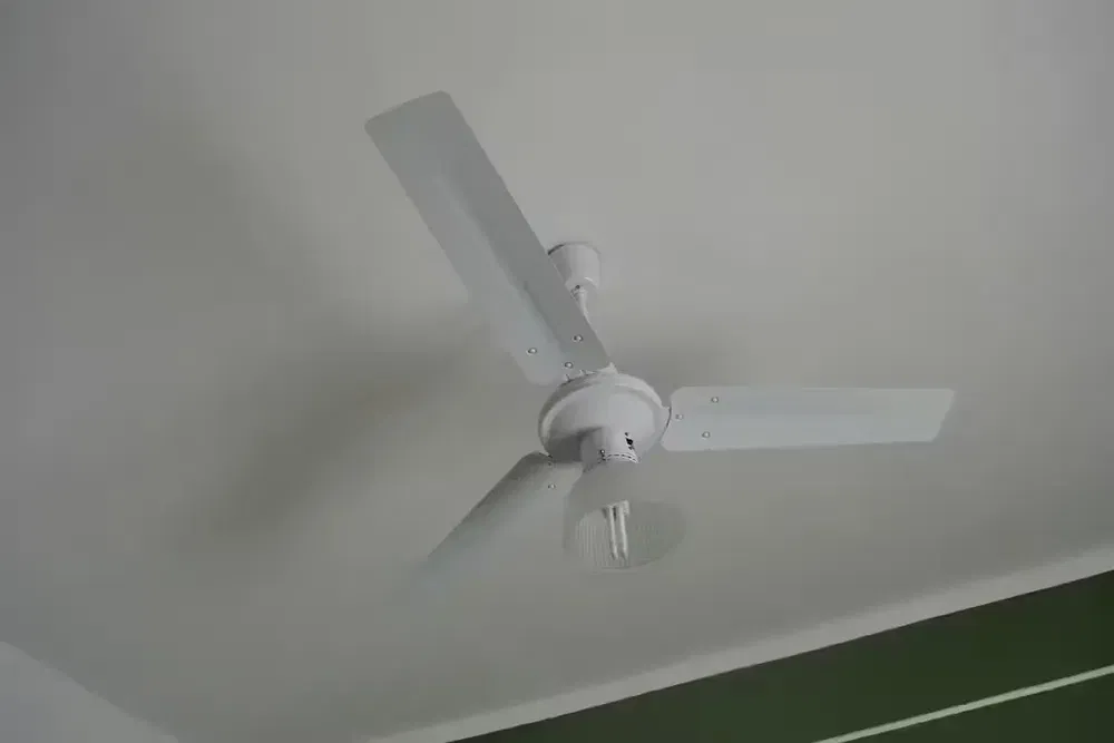 Küche; küchengeräte, holzboden, tageslicht, moderner stil