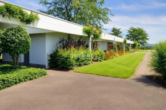 Küche; küchengeräte, holzboden, tageslicht, moderner stil