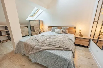 Kitchen; kitchen appliances, wood floor, natural light, modern style