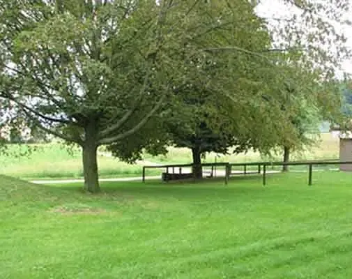 Kuhinja; kuhinjski aparati, drveni pod, prirodno svjetlo, moderni stil