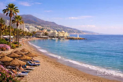 Kuchyně; kuchyňské spotřebiče, dřevěná podlaha, přirozené světlo, moderní styl