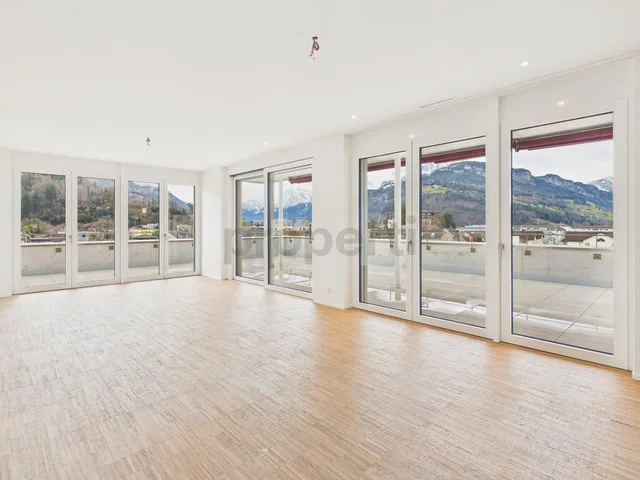 Kitchen; kitchen appliances, wood floor, natural light, modern style