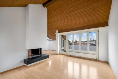 Salon; cheminée, parquet, vue, lumière naturelle