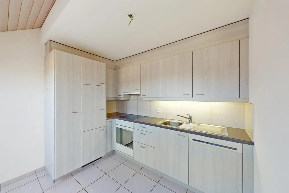 Cucina; elettrodomestici, pavimento in piastrelle, ristrutturato, luce naturale, stile moderno