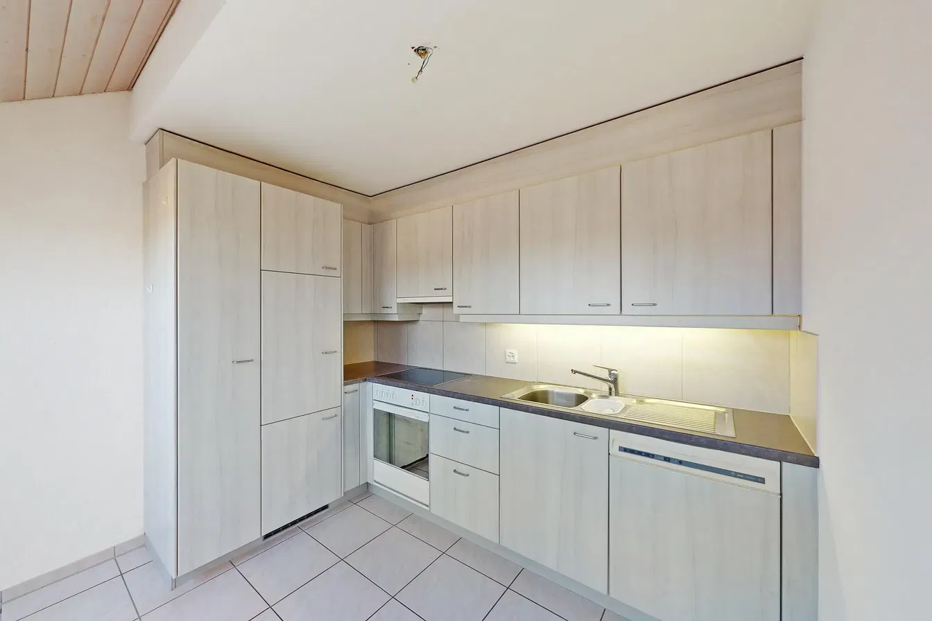 Cucina; elettrodomestici, pavimento in piastrelle, ristrutturato, luce naturale, stile moderno