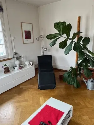 Obývací pokoj; dřevěná podlaha, přirozené světlo