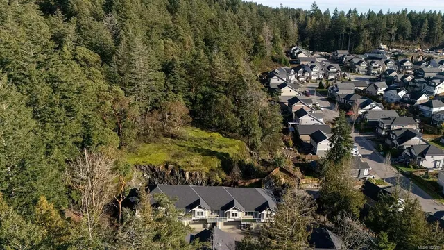 House and surroundings; view