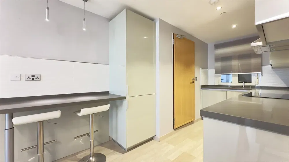 Keuken; keukenapparatuur, gerenoveerd, natuurlijk licht, moderne stijl