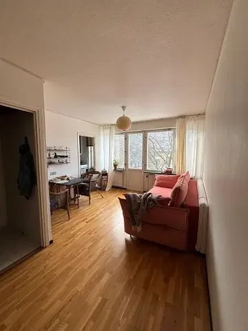 Salon; parquet, lumière naturelle, style moderne