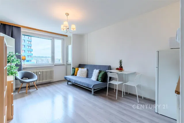 Хол; гледка, естествена светлина