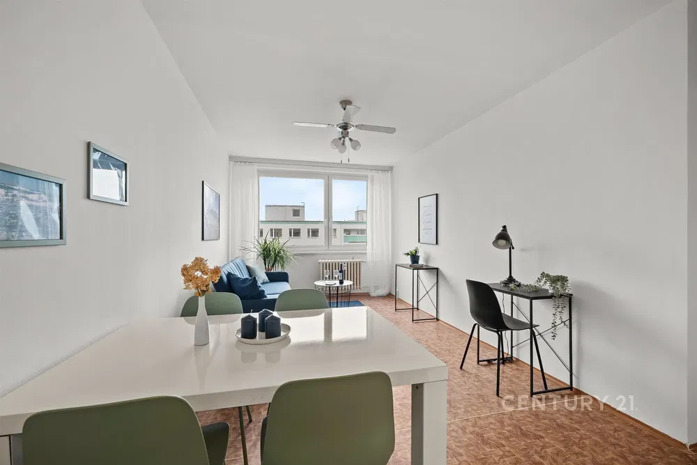 Salon; światło dzienne, styl nowoczesny