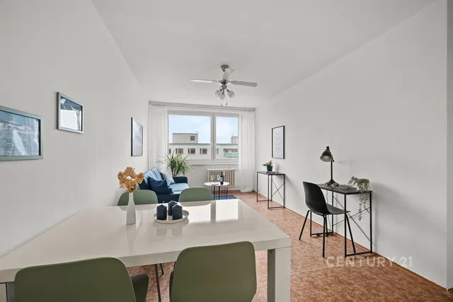 Living room; natural light, modern style